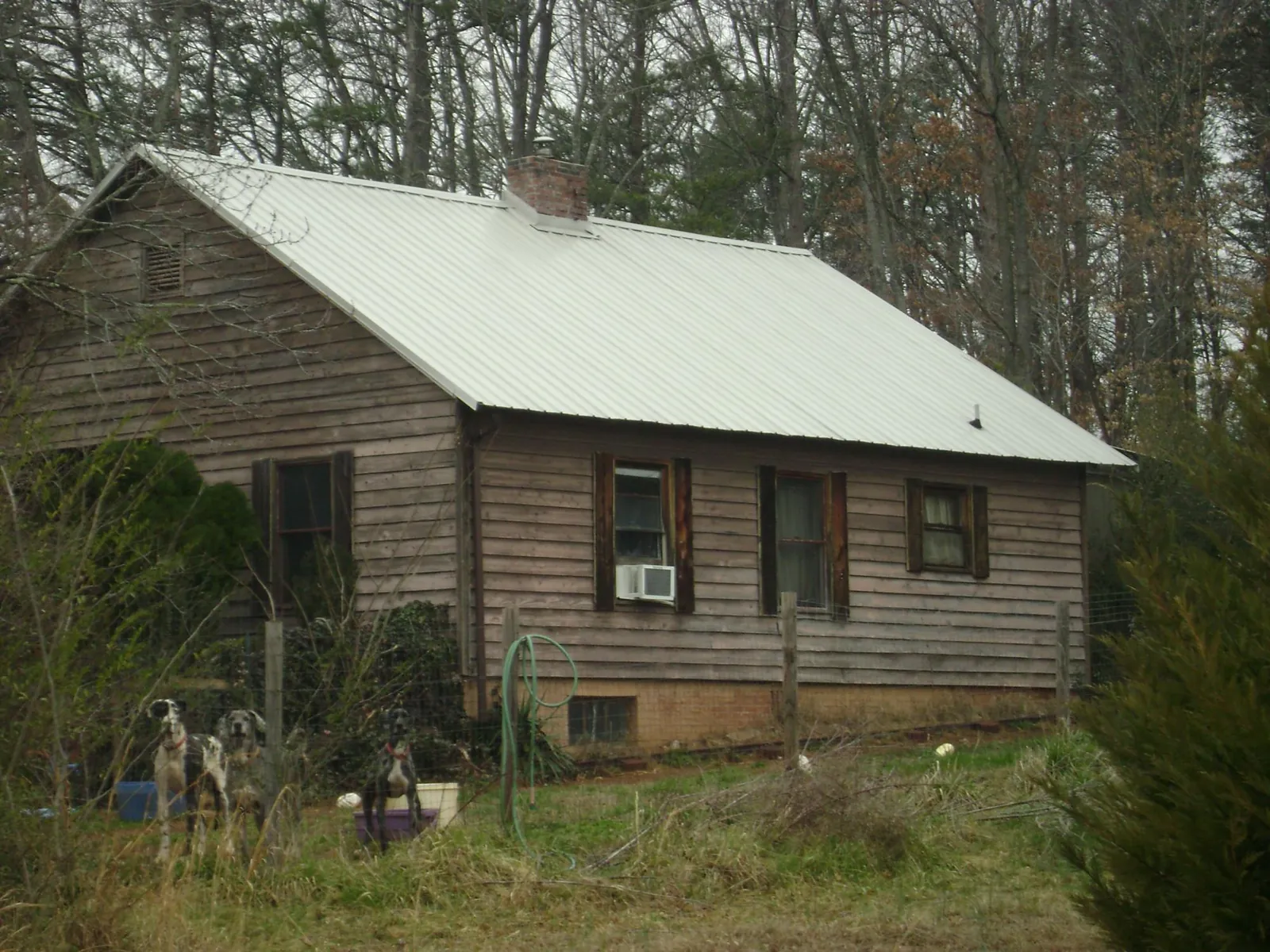White metal roof on an old wood sided farmhouse, from a Asphalt Shingle Roof Repair job in Ansted